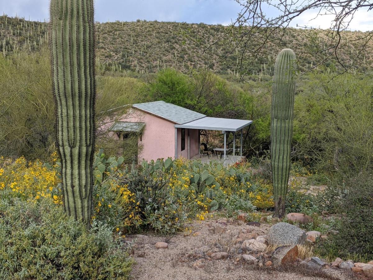Saguaro Lake Ranch Fountain Hills Exteriör bild
